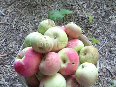 Дача · 1 комната · 10 м² · 7 сот., мкр Жилгородок — Кривое озеро за 100 000 〒 в Актобе