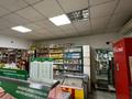 Магазины и бутики • 200 м² за 1.2 млн 〒 в Павлодаре — фото 10