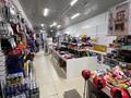 Магазины и бутики · 355.3 м² за 55 млн ₸ в Павлодарской области — фото 8