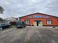 Магазины и бутики · 355.3 м² за 55 млн ₸ в Павлодарской области — фото 2