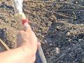 Участок · 10 соток, Усть-Каменогорск за 10 млн 〒 — фото 10
