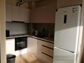 2-бөлмелі пәтер · 41 м² · 1 қабат, Райымбек батыра 21, бағасы: 250 000 ₸ в  — фото 4