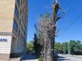 3-комнатная квартира · 83 м² · 6/9 этаж, Сатпаева 1 — Остановка Борцов революции за ~ 33.2 млн ₸ в Семее — фото 4