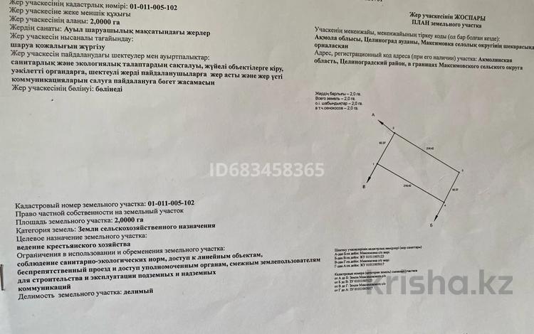 Жер телімі · 2 га, Ишим — Ишим, бағасы: 22 млн ₸ в Арайлы — фото 2