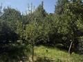Дача · 4 комнаты · 130.7 м² · 4 сот., Лесная 18 — Лесная за 45 млн ₸ в Алматинской обл., Талгарский р-н — фото 18