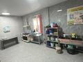 Жеке үй · 12 бөлме · 492 м² · 6 жүзд., ПК Алибек 13, бағасы: 195 млн ₸ в Байтереке (Новоалексеевке) — фото 12