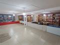 Свободное назначение, магазины и бутики, общепит · 291.8 м² за 45 млн ₸ в Каратобе