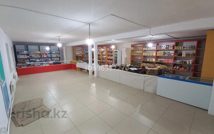 Свободное назначение, магазины и бутики, общепит · 291.8 м² за 45 млн ₸ в Каратобе — фото 5