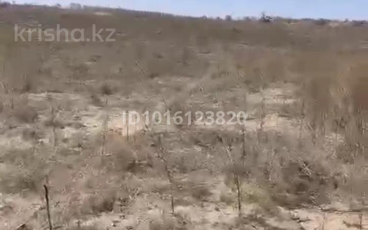 Жер телімі · 1000 га, Ақши, бағасы: 10 млн ₸ в Акши — фото 2