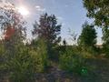 Участок · 70 соток, р-н Байконур за 10 млн ₸ в Астане — фото 7