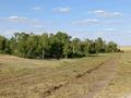 Участок · 70 соток, р-н Байконур за 10 млн ₸ в Астане — фото 12
