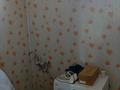 Отдельный дом · 4 комнаты · 195 м² · 10 сот., Жайдары 54 — Жайдары 11 за 24 млн ₸ в Шымкенте, Енбекшинский р-н — фото 8