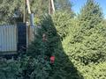 Отдельный дом · 5 комнат · 75 м² · 8 сот., Зазулина 2 за 21 млн ₸ в Байдибек би — фото 11