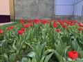 Жеке үй · 3 бөлме · 150 м² · 6 жүзд., Беруни 42, бағасы: 25 млн ₸ в Аксукенте — фото 5