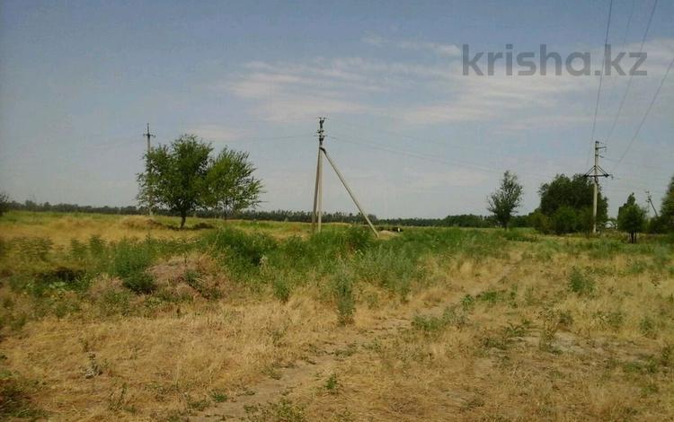 Участок · 12 соток, Алтын алма, Грушевая 11 за 7 млн ₸ в Конаеве — фото 2
