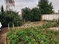 Отдельный дом · 3 комнаты · 48 м² · 6 сот., Сад Иртыш берёзовая 18 — Неподалёку от лыжной базы за 13 млн ₸ в Павлодаре — фото 3