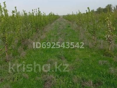 яблочный сад, 6,3 Га земли за 100 млн 〒 в Шымкенте, Абайский р-н