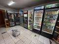 Магазины и бутики · 90 м² за 90 млн ₸ в Алматы, Ауэзовский р-н — фото 9