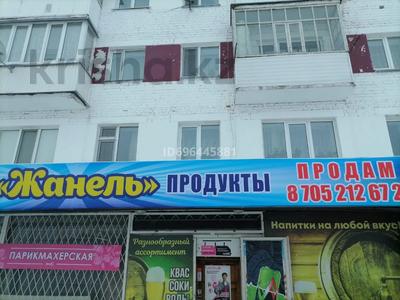Еркін, дүкендер мен бутиктер · 166 м², бағасы: 65 млн ₸ в Петропавловске