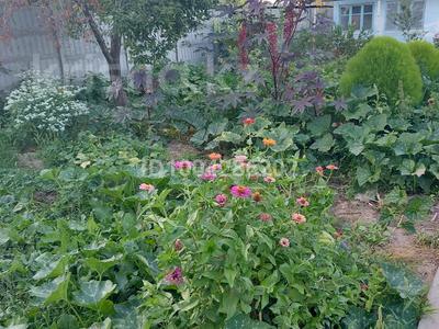 Отдельный дом · 2 комнаты · 27 м² · 7 сот., жилой массив Кайнар Булак, Зеленая 262 за 8 млн 〒 в Шымкенте, Абайский р-н