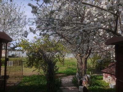 Жеке үй · 6 бөлме · 130 м² · 13 сот., Балдаурен — Жібек жолы, бағасы: 45 млн ₸ в Кордае