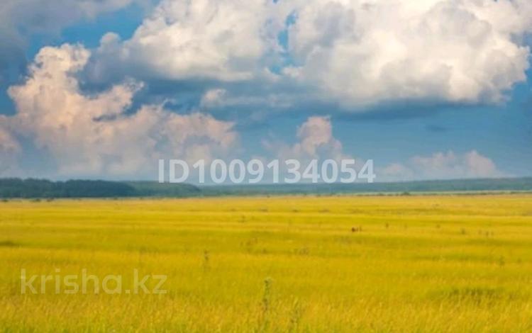 Участок · 10 соток, Самал за 3.8 млн 〒 в Конаеве — фото 2