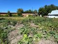 Участок · 13 соток, Орманды 12/1 за 8.5 млн ₸ в Усть-Каменогорске — фото 2
