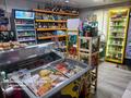 Действующий бизнес-продуктовый магазин · 53 м², бағасы: 25 млн ₸ в Семее — фото 10