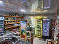 Действующий бизнес-продуктовый магазин · 53 м², бағасы: 25 млн ₸ в Семее — фото 6