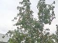 Жеке үй · 4 бөлме · 137.6 м² · 10000 жүзд., Қазына, бағасы: 21 млн ₸ в  — фото 7