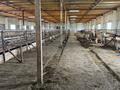 Участок · 1400 га, Село Ошаганды за 250 млн ₸ в  — фото 3