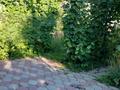 Жеке үй · 6 бөлме · 250 м² · 6 жүзд., М.Горькова 112 — И.Байзакова - М.Горького, бағасы: 115 млн ₸ в Павлодаре — фото 38