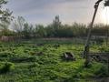 Отдельный дом · 3 комнаты · 61.1 м² · 207.2 сот., Торайгырова 44 — Магазина Айдана за 18 млн ₸ в Баянауле — фото 5
