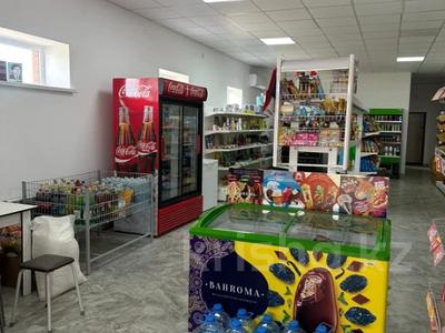 Еркін, дүкендер мен бутиктер · 240 м², бағасы: 46.5 млн ₸ в Актобе, жилой массив Жанаконыс