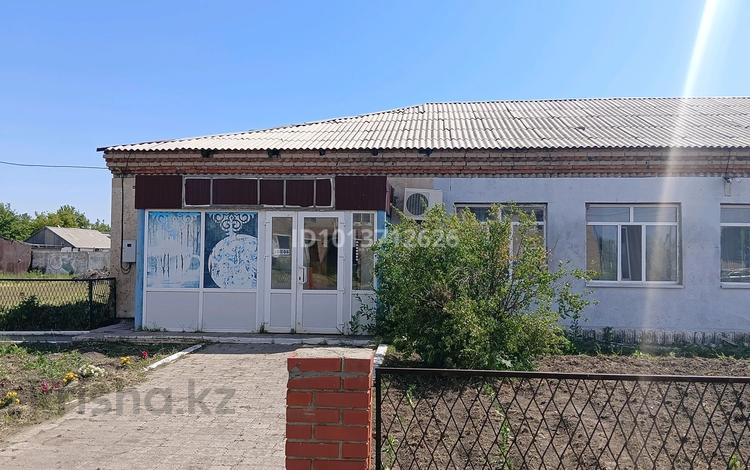 Қоғамдық тамақтану орны · 400 м², бағасы: 16 млн ₸ в Сарыколе — фото 2