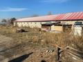 Жер телімі · 4.24 га, Белбұлақ (Мичурино), бағасы: 570 млн ₸ в Бельбулаке (Мичурино) — фото 5