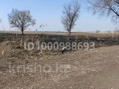 Участок · 20 га, Кульджинка за 60 млн ₸ в Ташкенсазе