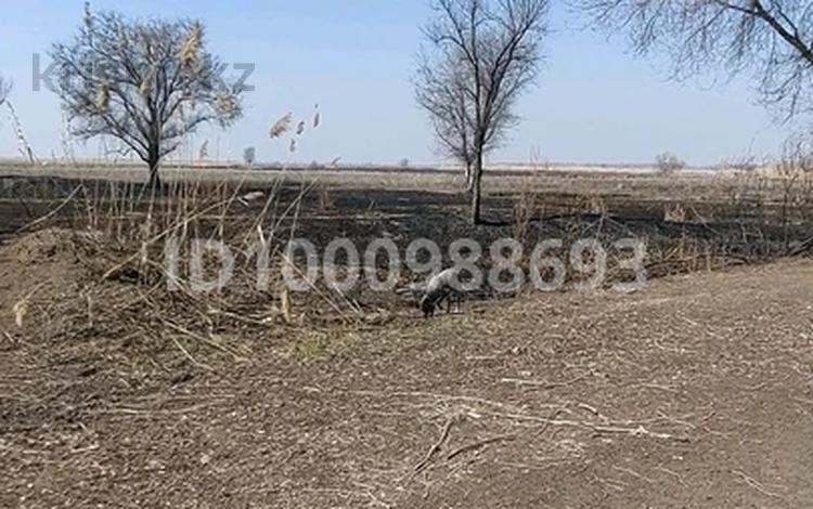 Участок · 20 га, Кульджинка за 60 млн ₸ в Ташкенсазе — фото 2
