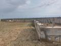 Участок · 70 соток, Кадастр 158 619 — Оралман за 150 млн ₸ в Туркестане — фото 9
