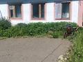 Жеке үй · 4 бөлме · 81.7 м² · 83.7 сот., Иртышская 45, бағасы: 18 млн ₸ в Усть-Каменогорске — фото 11
