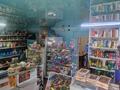 Магазины и бутики • 104 м² за 20 млн 〒 в Карасу — фото 3