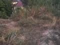Участок · 18.16 соток, 25 квартал — Угол Бурашева С. за 82 млн ₸ в Каскелене — фото 15