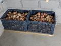 Участок · 10 соток, Кайым Мухамедханов 240 — 20мкр за 22 млн ₸ в Усть-Каменогорске — фото 11