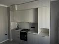 2-бөлмелі пәтер · 40 м² · 2/3 қабат, Устирт, бағасы: 26.5 млн ₸ в Иргели — фото 3