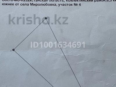 Участок · 16.49 га, Миролюбовка 4 — 6,5 км южнее от села за 21 млн 〒 в Восточно-Казахстанской обл.