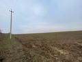 Участок · 2 га, мкр Туран за 40 млн ₸ в Шымкенте, Каратауский р-н — фото 2
