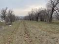 Участок · 2 га, мкр Туран за 40 млн ₸ в Шымкенте, Каратауский р-н — фото 7