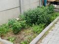 Отдельный дом · 4 комнаты · 80 м² · 11 сот., Темирказык за 17 млн ₸ в Актобе, мкр Москва — фото 19