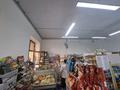 Готовый бизнес магазин и 1000 мелочей · 98 м² за 14 млн ₸ в Астане, Нура р-н