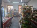 Готовый бизнес магазин и 1000 мелочей · 98 м² за 14 млн ₸ в Астане, Нура р-н — фото 16